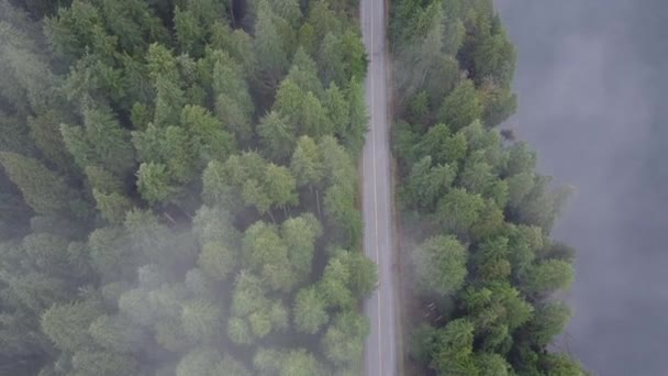 Aerial Zoom Out Road Forest British Columbia Mountains — Stock Video