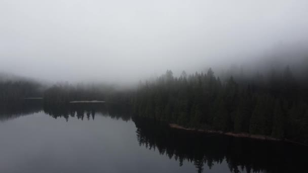 Riflessioni Forestali Sul Lago Mattino — Video Stock