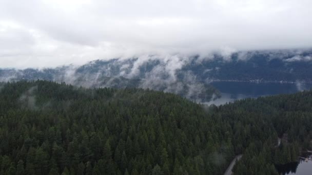 带着低云飞过高山和森林 — 图库视频影像