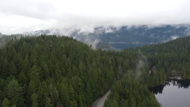Πέντεσταλ Κίνηση Κάμερα Πάνω Από Δάσος Wispy Σύννεφα — Αρχείο Βίντεο
