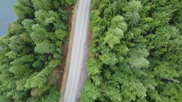 Jalan Amerika Utara Antara Hutan — Stok Video