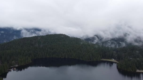 Oprichting Van Het Bos Het Meer Met Bewolkte Ochtend Weer — Stockvideo