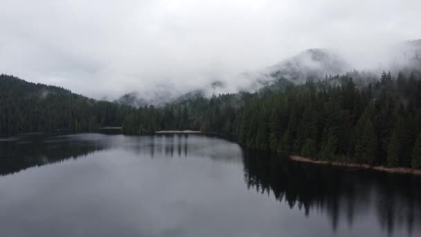 Kış Gölü Etrafında Orman Sabah Bulutlarıyla — Stok video