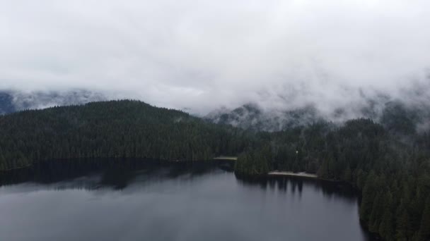 Movimiento Cámara Pedestal Sobre Lago Bosque — Vídeos de Stock