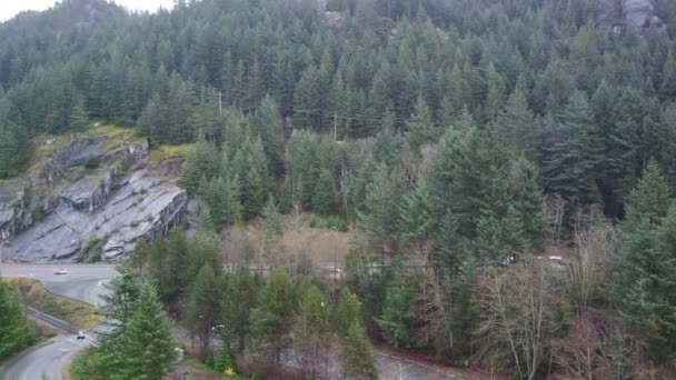 Bosque Verde Con Camino Detrás — Vídeo de stock