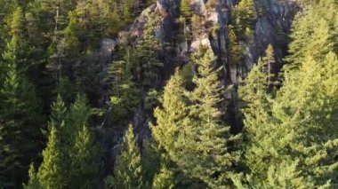 Kayalar, dağlar ve çam ağaçları uçar gider.