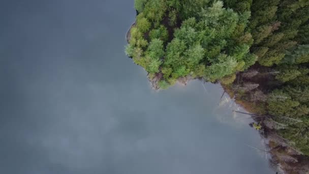 Bovenaanzicht Het Meer Bewolkte Dag Met Enkele Groene Dennen Aan — Stockvideo