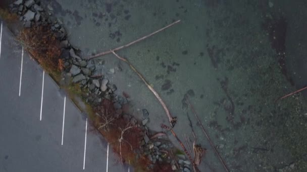 Bovenaanzicht Vanuit Lucht Het Transparante Water Van Rivier — Stockvideo