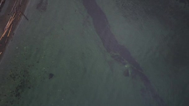 Zoom Aerian Din Lac Patul Apă Vizibil — Videoclip de stoc