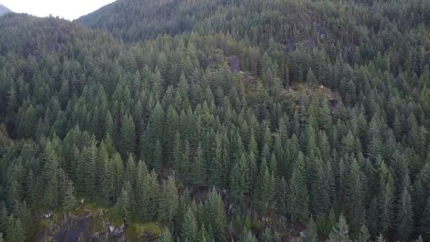 Zoom Arrière Depuis Montagne Couverte Forêt — Video