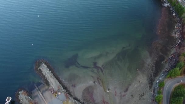 Morgens Von Der Seebrücke Die Weit Entfernten Berge Kippen Britische — Stockvideo