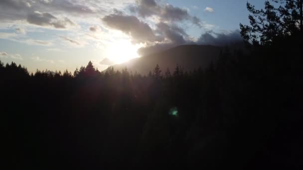 阳光在森林后面对着摄像机 — 图库视频影像
