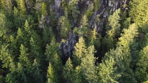 Montanha Rochosa Coberta Árvores Verdes Vista Aérea Pela Manhã — Vídeo de Stock