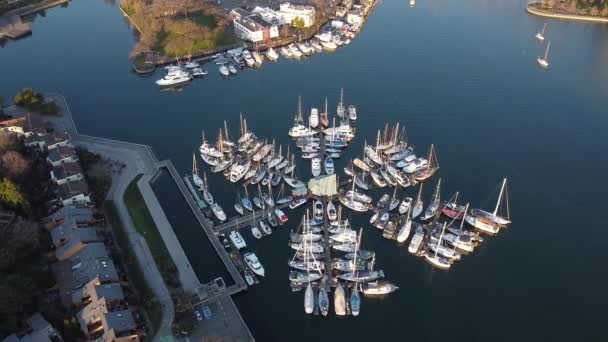 温哥华中心靠近格兰维尔岛的小码头 — 图库视频影像