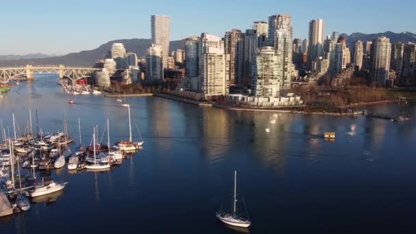 Flyg Över Segelfartyg False Creek Mot Centrum Vancouver — Stockvideo