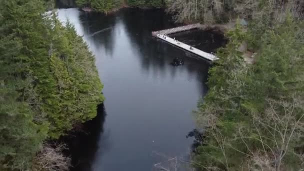 Lago Ghiacciato Molo Circondato Dalla Foresta Canada — Video Stock