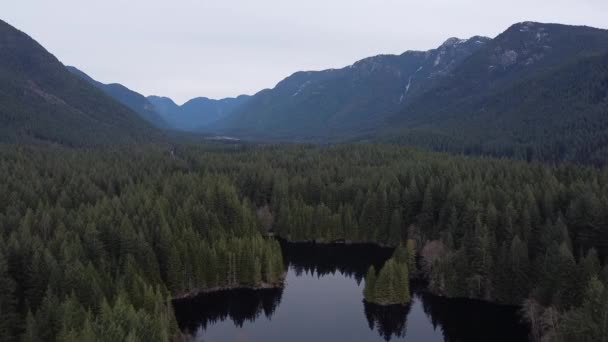 Estabelecendo Tiro Montanhas Floresta Lago — Vídeo de Stock