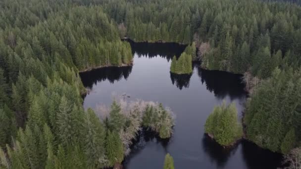 Воздушный Панорамный Вид Озеро Начал Замерзать Окружающий Лес — стоковое видео