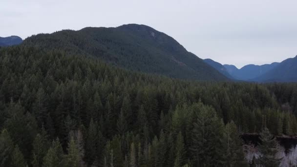 Grön Skog Fjällen Nära Sjön — Stockvideo