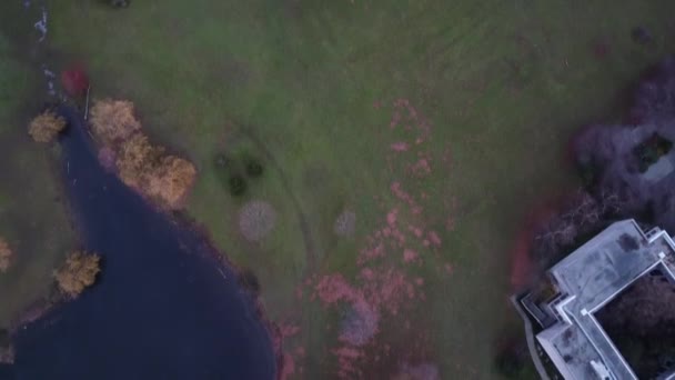 Αεροφωτογραφία Στην Παγωμένη Λίμνη Και Την Πράσινη Λωρίδα — Αρχείο Βίντεο