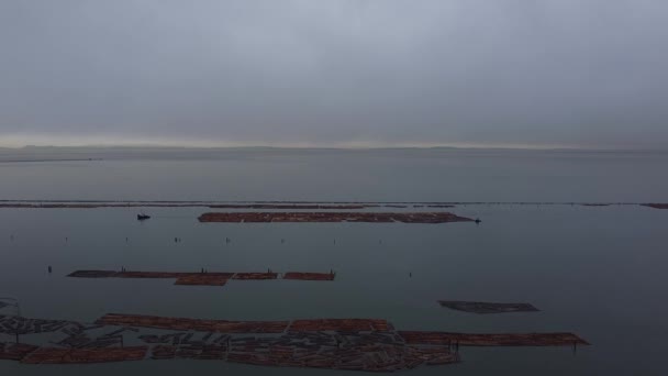 Grumes Bois Orange Dans Océan — Video