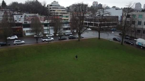 一个带着狗走在绿道上的男人 — 图库视频影像