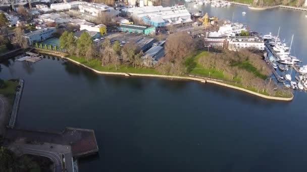 Aerial View Granville Island Summer — 비디오