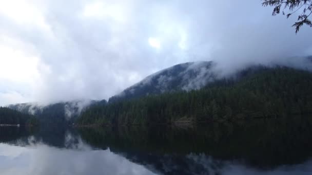 湖の近くの森の上のささやきの雲と朝の霧 — ストック動画