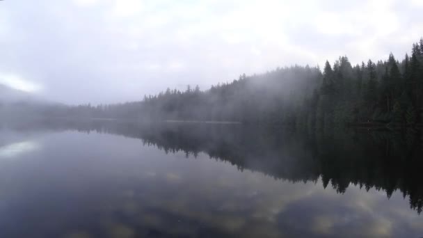 Timelapse Sul Lago Nebbioso Mattino — Video Stock