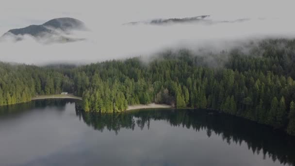 Letět Přes Jezero Lesem Pozadí Nízké Mraky — Stock video