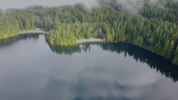 Пролетите Над Озером Фоне Леса Низкой Облачности Утром — стоковое видео