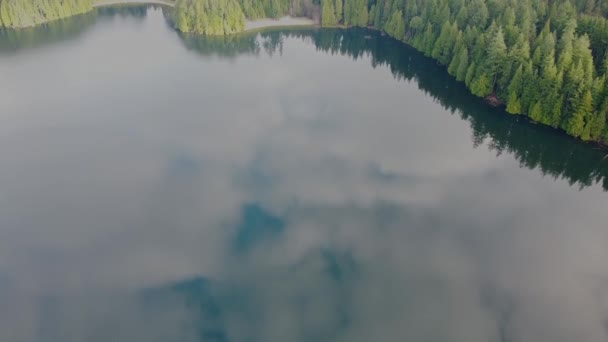Воздушный Вид Отражение Неба Озере Окружении Леса — стоковое видео