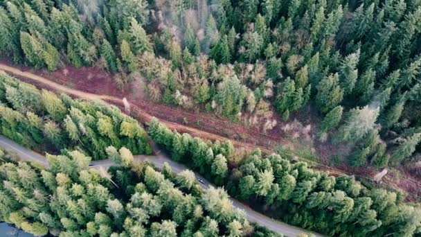 Vista Aérea Estrada Sinuosa Meio Floresta — Vídeo de Stock