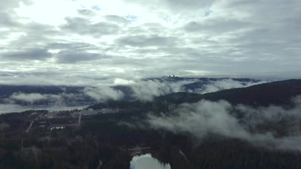 Nuvens Baixas Sobre Vista Aérea Floresta — Vídeo de Stock