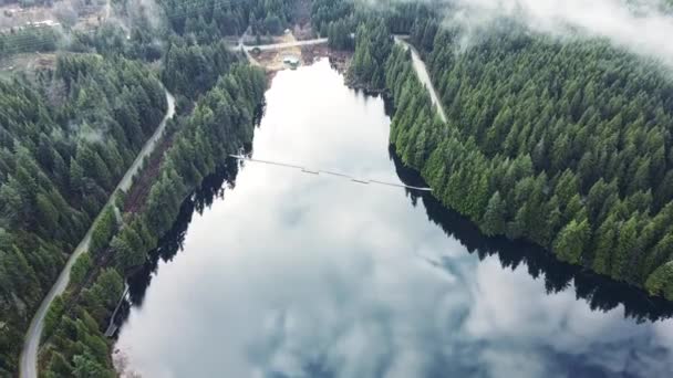 Voe Sobre Lago Cristalino Pela Manhã Com Pinheiros Verdes Redor — Vídeo de Stock