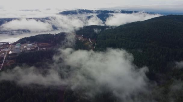 飞过云雾和森林 — 图库视频影像