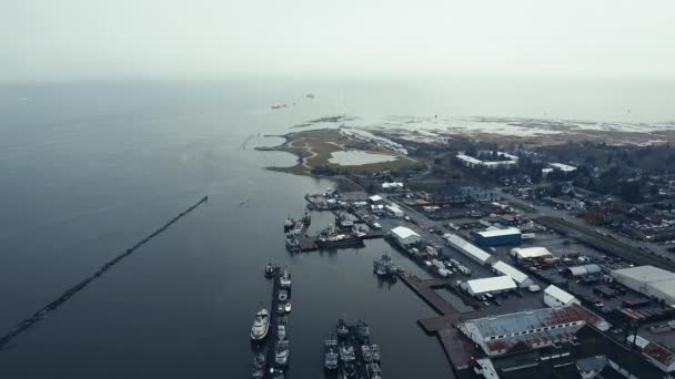 Uitzicht Vanuit Lucht Kust Met Enkele Gebouwen Boten — Stockvideo