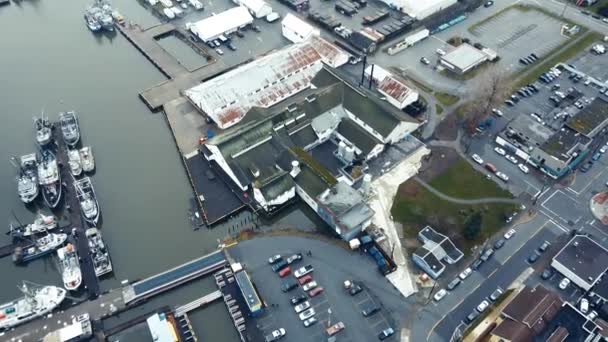 Vlieg Oude Conservenfabriek Gelegen Aan Oever Van Rivier — Stockvideo