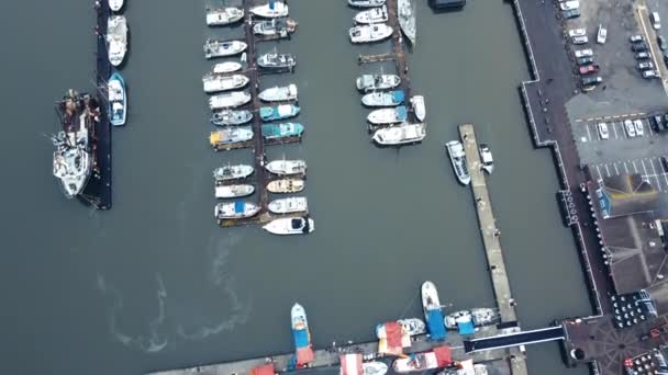 Vola Sulle Barche Dei Pescatori Sul Lungomare Sui Gabbiani Che — Video Stock