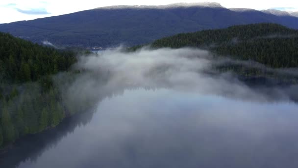 Пагорби Вкриті Сосновими Деревами Ранковим Туманом — стокове відео