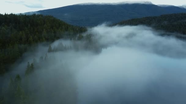 Fly Fog Forest Barely Visible Lake — 图库视频影像