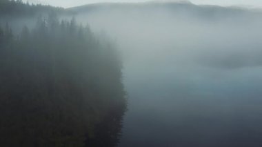 Opening shot of the hills covered with pines. Fly through the fog