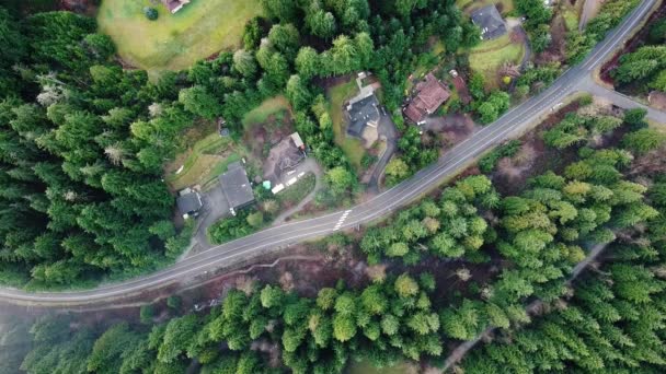 Atas Bawah Melihat Jalan Pinggiran Kota Tengah Hutan Dan Rumah — Stok Video