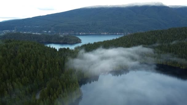 Fly Cloud Green Forest Mountains Crystal Clear River — Stok video