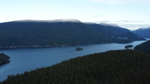 Voe Sobre Pinhal Verde Direção Montanhas Com Calmo Rio Manhã — Vídeo de Stock