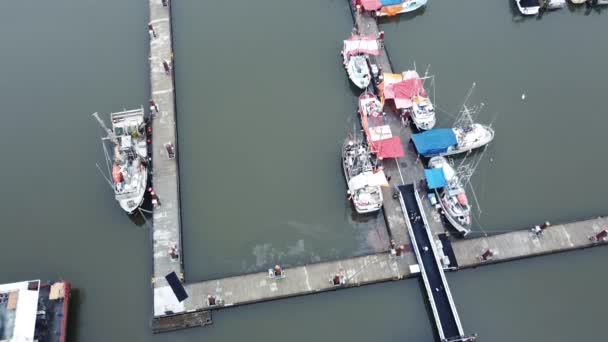 Survolez les bateaux, le marché aux poissons et les personnes marchant sur la jetée 