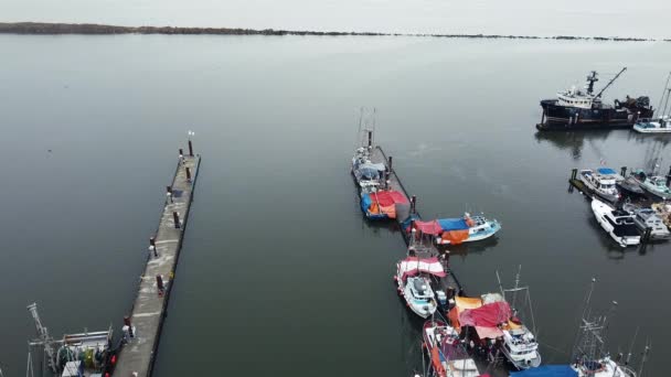 Aerial View Pier Calm Water Fishermen Boats — Stockvideo