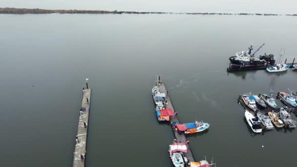 Fish Sales Boats Calm Day — Stock Video