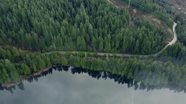 Літати Дорозі Між Сосновими Деревами Озером — стокове відео