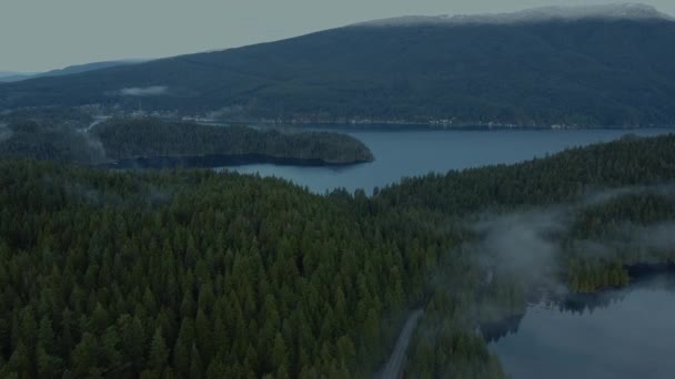 Flyga Över Skogen Framför Mot Floden Och Bergen Bakgrunden Täckt — Stockvideo